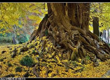 japan/tokyo/attraction/shoboji