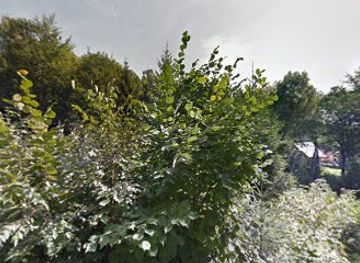 poland/silesian-beskids/attraction/pomnik-krolow-polskich