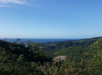 grenada/black-bay-beach/attraction/national-bird-wildlife-habitat