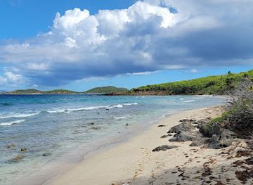 puerto-rico/culebra-island/attraction/playa-zoni