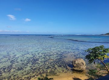 fiji/coral-coast/attraction/fiji-coral-coast-horseriding-adventures