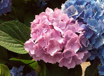 connecticut/new-haven/attraction/ft-hale-park-including-historic-black-rock-fort-ft-nathan-hale