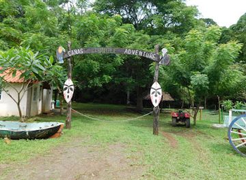 panama/pedasi/attraction/canas-jungle-adventure-canopy-zipline