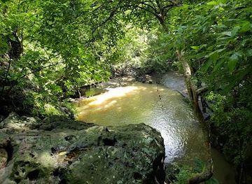 Cinquera Forest Ecological Park