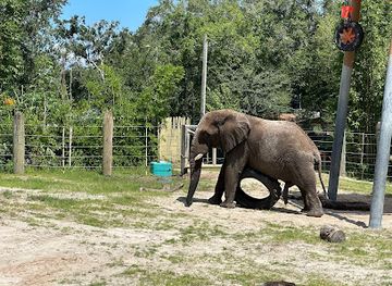 ZooTampa at Lowry Park