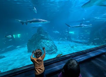 Adventure Aquarium