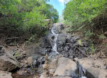 Highfields Falls