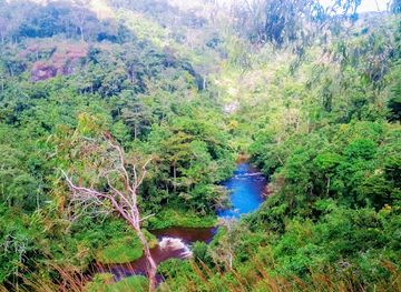 papua-new-guinea/central-province/attraction/iarokrai-rapids-picnic-area