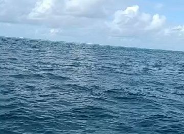 mauritius/flic-en-flac-beach/attraction/dolphins-cruise-ltd