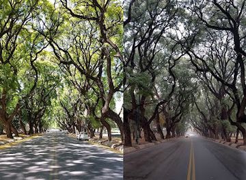 argentina/mendoza-wine-region/attraction/boveda-verde