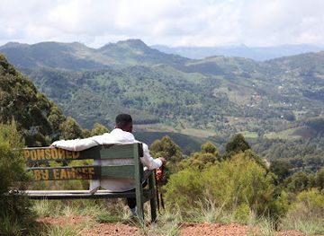 tanzania/southern-highlands/attraction/magamba-nature-forest-reserve-office