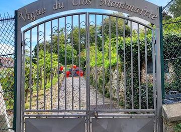 france/versailles/attraction/vigne-du-clos-montmartre
