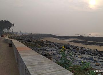 india/digha/attraction/pine-forest-beach