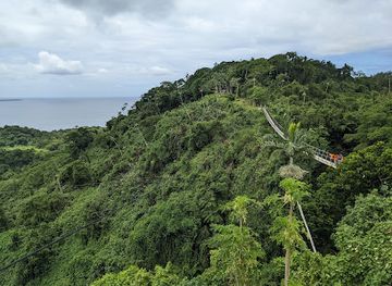 vanuatu/efate/attraction/vanuatu-sky-bridge