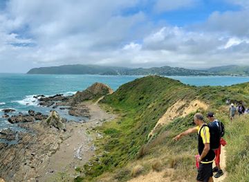 new-zealand/west-coast/attraction/titahi-bay-beach