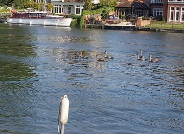 united-kingdom/berkshire/attraction/higginson-park