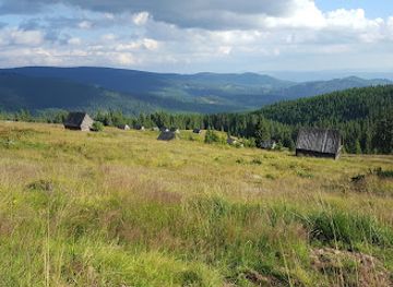 romania/apuseni-mountains/attraction/molhasurile-capatanei