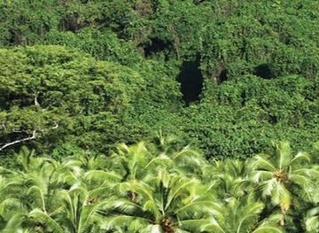 vanuatu/malakula/attraction/amal-crab-bay-ecological-reserve