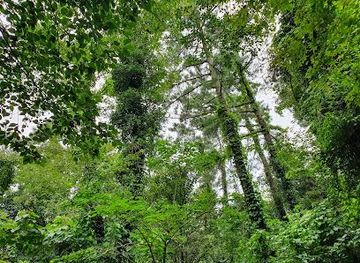 south-korea/jeju-city/attraction/hwansang-forest