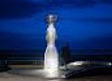 united-kingdom/dundee/attraction/sculpture-tay-haze-by-artist-lee-simmons