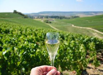 france/versailles/attraction/wine-tours-paris