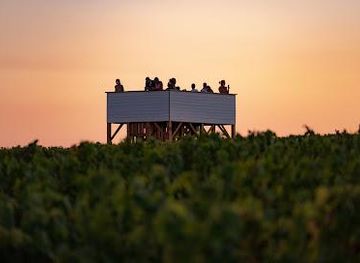 france/bordeaux/attraction/chateau-la-tour-blanche