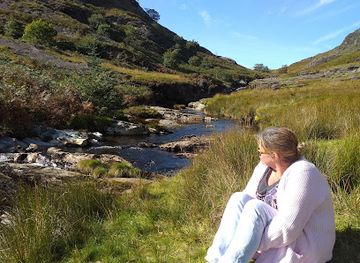 united-kingdom/wales/attraction/national-trust-abergwesyn-common