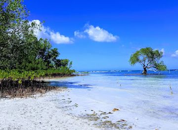 philippines/siquijor/attraction/tulapos-marine-sanctuary