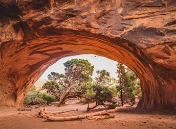 utah/moab/attraction/navajo-arch