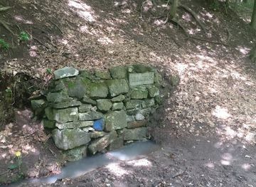 hungary/zemplen-mountains/attraction/florika-forras