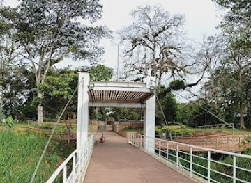ecuador/morona-santiago-region/attraction/mirador-la-randimpa