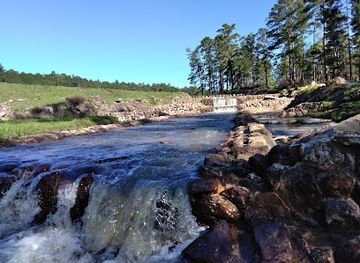 texas/red-river-valley/attraction/sabine-national-forest