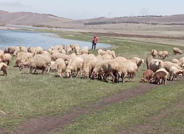 armenia/arpi-lake/attraction/mecavan-center