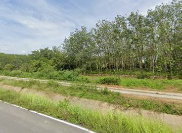 thailand/nakhon-si-thammarat/attraction/agriculture