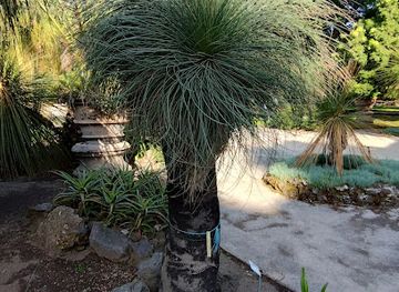 italy/herculaneum/attraction/villa-dei-papiri