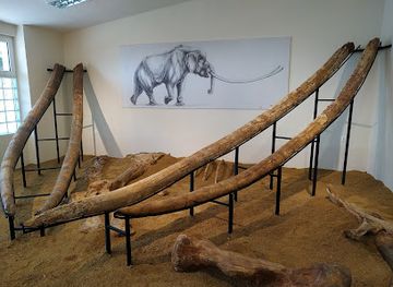 greece/macedonia/attraction/museum-of-natural-history-milia