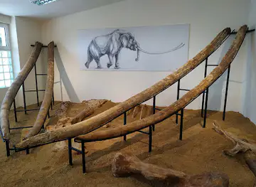 Museum of Natural History - Milia ...