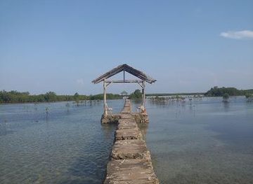 philippines/cebu-city/attraction/olango-island