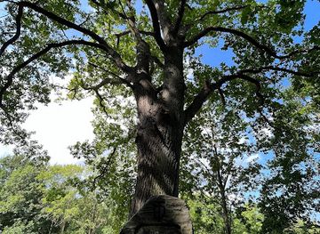 germany/rugen-island/attraction/jahn-stein-und-eiche