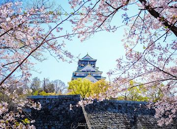 japan/kinki-kansai/attraction/forest-of-memories