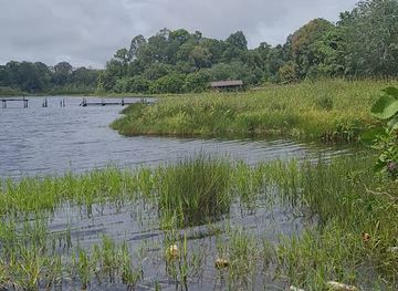 brunei/temburong-district/attraction/tasek-merimbun-heritage-park