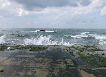 egypt/alexandria/attraction/cornish-sporting