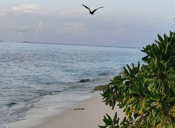 maldives/baa-atoll/attraction/ruhgandu-thoddoo