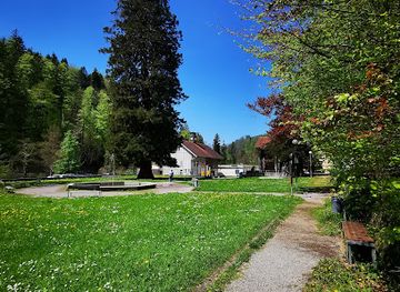 austria/dornbirn/attraction/mammutbaum