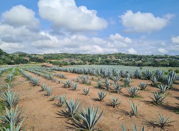 mexico/tequila-valley/attraction/railway-station-tequila