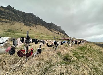 iceland/thorsmork/attraction/brekkukot-bra-fence