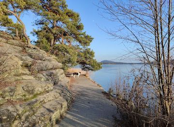 czechia/machovo-jezero/attraction/jarmila-s-rock