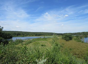 belgium/hoge-kempen-national-park/attraction/natuurgebied-bergerven