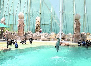singapore/sentosa-island/attraction/dolphin-island