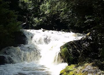 michigan/marquette/attraction/carp-river-falls